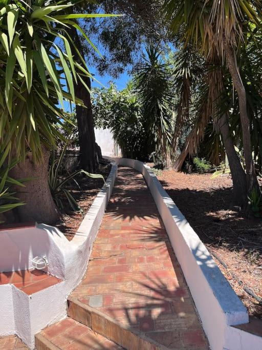 Beautiful Private Villa With Pool, Boliqueime, Loule Экстерьер фото